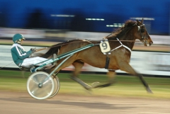 Quality Questioned 160207-1